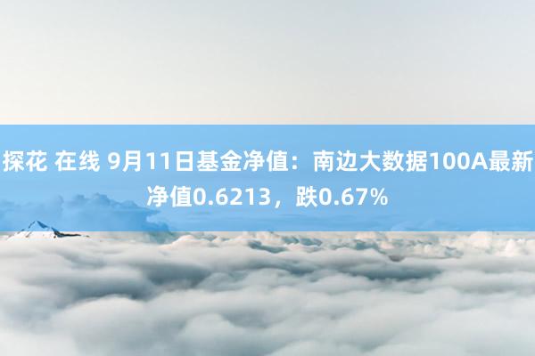 探花 在线 9月11日基金净值：南边大数据100A最新净值0.6213，跌0.67%