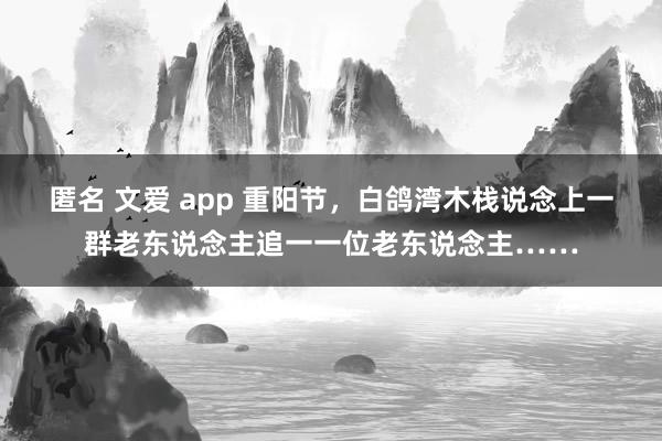 匿名 文爱 app 重阳节，白鸽湾木栈说念上一群老东说念主追一一位老东说念主……