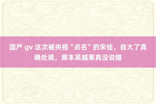 国产 gv 这次被央视“点名”的宋佳，自大了真确处境，原本吴越果真没说错