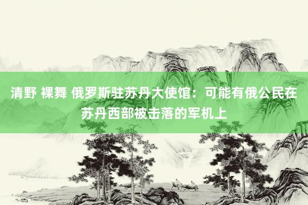 清野 裸舞 俄罗斯驻苏丹大使馆：可能有俄公民在苏丹西部被击落的军机上