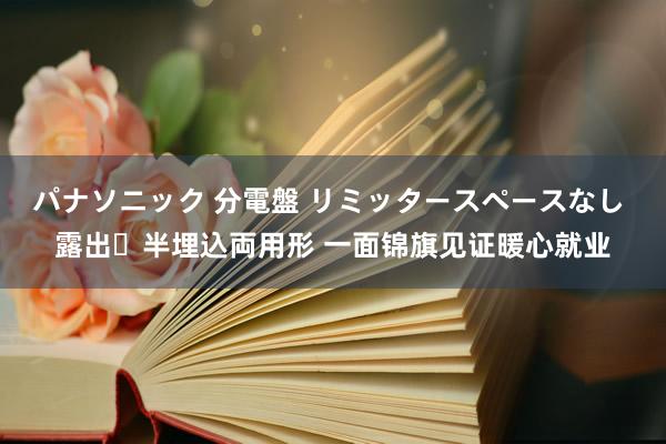 パナソニック 分電盤 リミッタースペースなし 露出・半埋込両用形 一面锦旗见证暖心就业