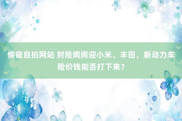 偷窥自拍网站 财险阛阓迎小米、丰田，新动力车险价钱能否打下来？