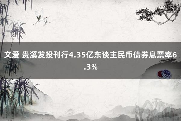 文爱 贵溪发投刊行4.35亿东谈主民币债券息票率6.3%