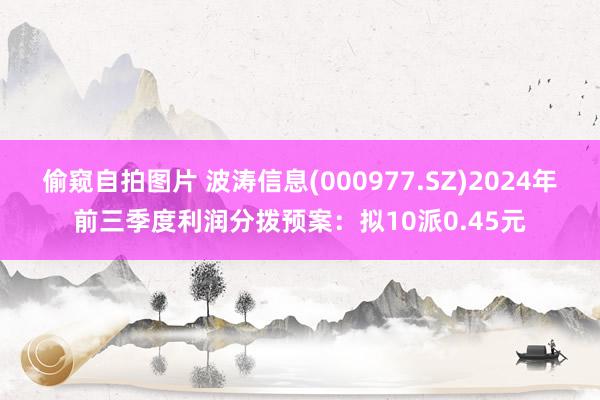 偷窥自拍图片 波涛信息(000977.SZ)2024年前三季度利润分拨预案：拟10派0.45元