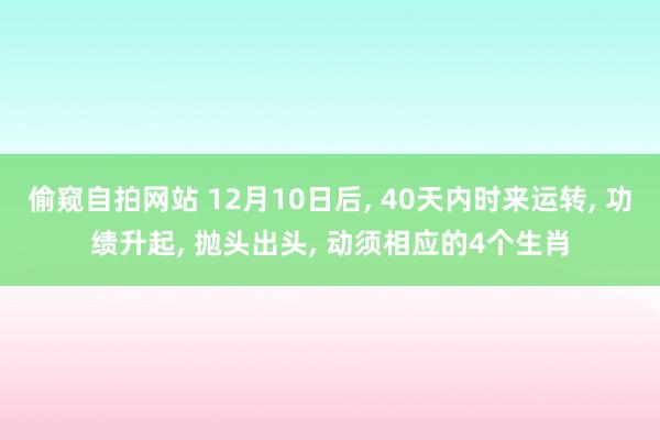 偷窥自拍网站 12月10日后， 40天内时来运转， 功绩升起， 抛头出头， 动须相应的4个生肖