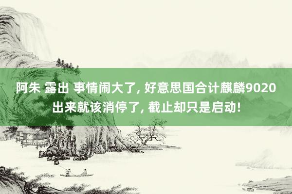 阿朱 露出 事情闹大了， 好意思国合计麒麟9020出来就该消停了， 截止却只是启动!