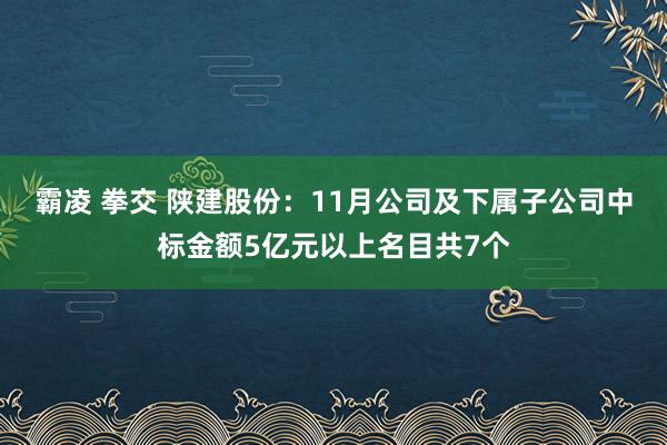 霸凌 拳交 陕建股份：11月公司及下属子公司中标金额5亿元以上名目共7个