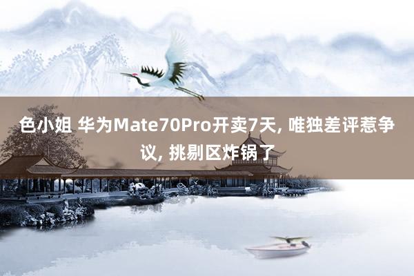 色小姐 华为Mate70Pro开卖7天， 唯独差评惹争议， 挑剔区炸锅了