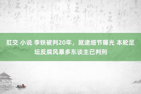 肛交 小说 李铁被判20年，就逮细节曝光 本轮足坛反腐风暴多东谈主已判刑