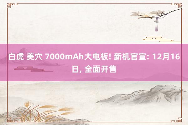 白虎 美穴 7000mAh大电板! 新机官宣: 12月16日， 全面开售