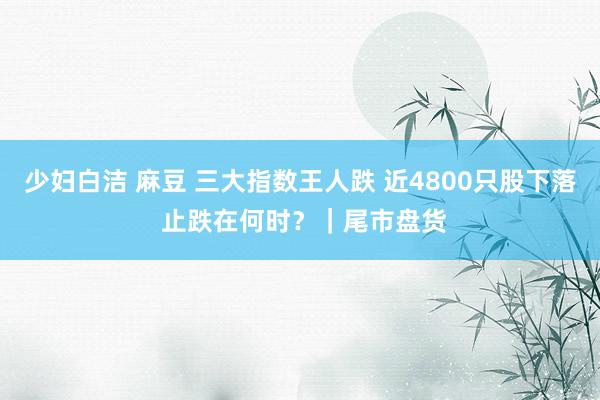 少妇白洁 麻豆 三大指数王人跌 近4800只股下落 止跌在何时？｜尾市盘货