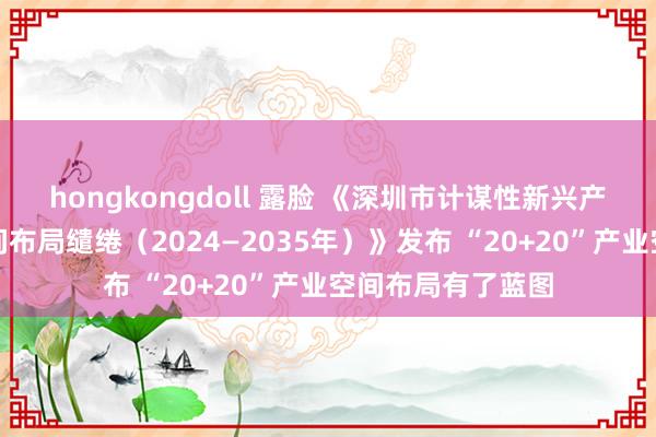 hongkongdoll 露脸 《深圳市计谋性新兴产业与以前产业空间布局缱绻（2024—2035年）》发布 “20+20”产业空间布局有了蓝图