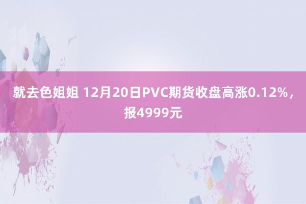 就去色姐姐 12月20日PVC期货收盘高涨0.12%，报4999元