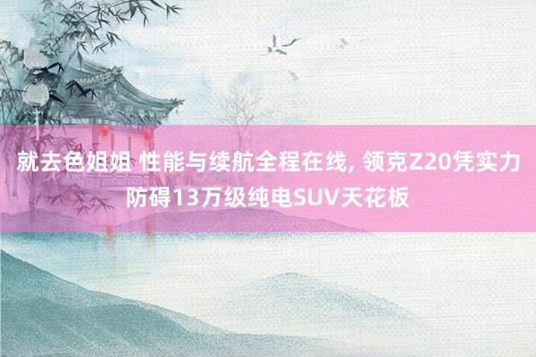 就去色姐姐 性能与续航全程在线， 领克Z20凭实力防碍13万级纯电SUV天花板