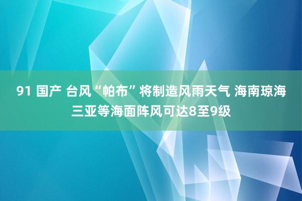 91 国产 台风“帕布”将制造风雨天气 海南琼海三亚等海面阵风可达8至9级