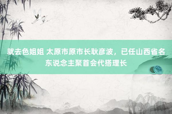 就去色姐姐 太原市原市长耿彦波，已任山西省名东说念主聚首会代搭理长