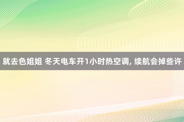 就去色姐姐 冬天电车开1小时热空调， 续航会掉些许