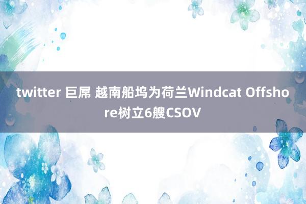 twitter 巨屌 越南船坞为荷兰Windcat Offshore树立6艘CSOV