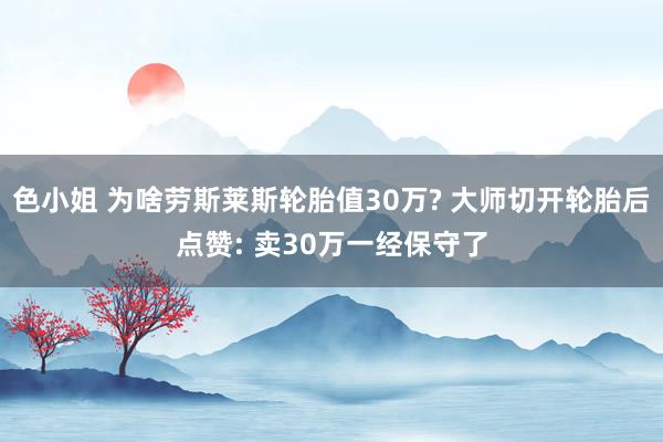 色小姐 为啥劳斯莱斯轮胎值30万? 大师切开轮胎后点赞: 卖30万一经保守了