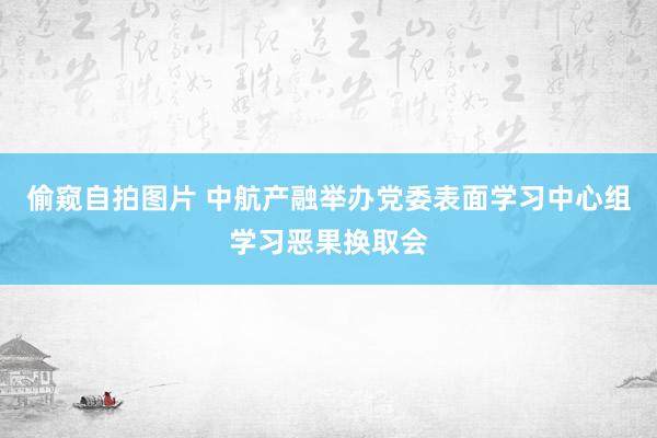 偷窥自拍图片 中航产融举办党委表面学习中心组学习恶果换取会