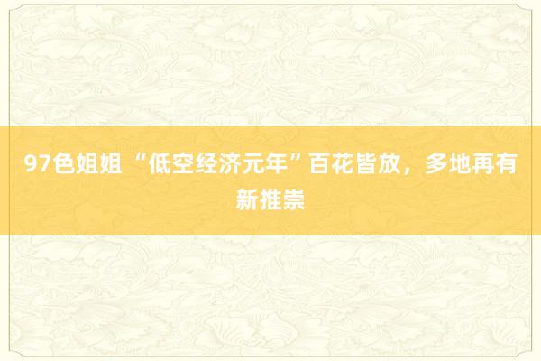 97色姐姐 “低空经济元年”百花皆放，多地再有新推崇