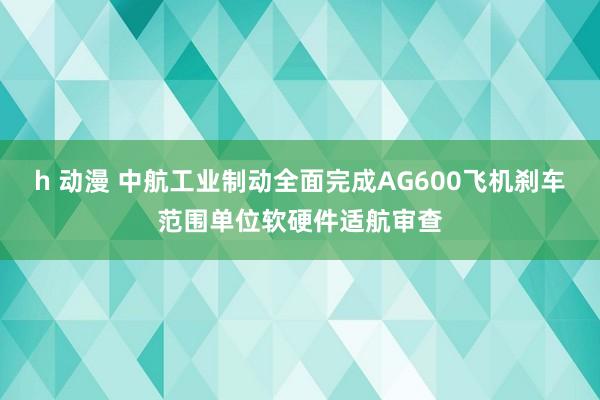 h 动漫 中航工业制动全面完成AG600飞机刹车范围单位软硬件适航审查