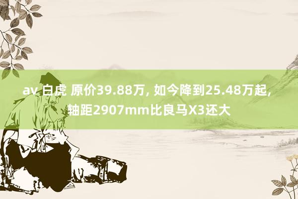 av 白虎 原价39.88万， 如今降到25.48万起， 轴距2907mm比良马X3还大