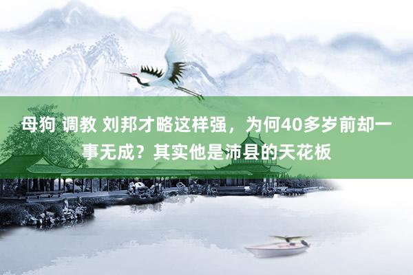 母狗 调教 刘邦才略这样强，为何40多岁前却一事无成？其实他是沛县的天花板