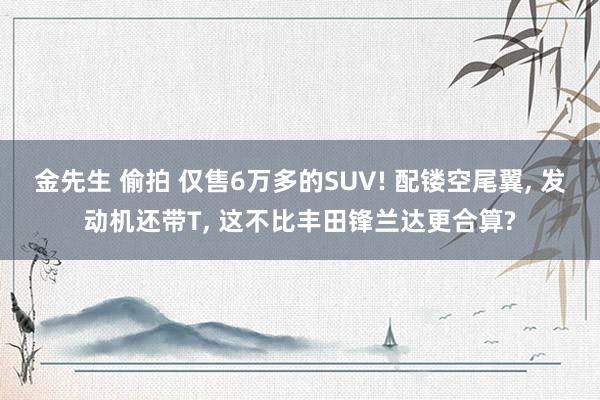 金先生 偷拍 仅售6万多的SUV! 配镂空尾翼， 发动机还带T， 这不比丰田锋兰达更合算?