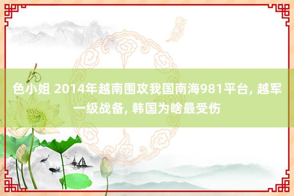 色小姐 2014年越南围攻我国南海981平台， 越军一级战备， 韩国为啥最受伤