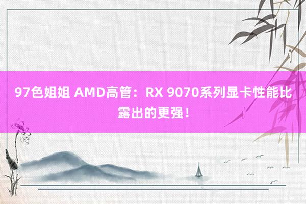 97色姐姐 AMD高管：RX 9070系列显卡性能比露出的更强！