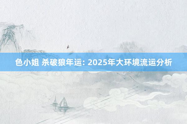 色小姐 杀破狼年运: 2025年大环境流运分析