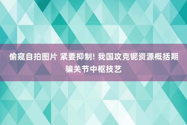 偷窥自拍图片 紧要抑制! 我国攻克铌资源概括期骗关节中枢技艺