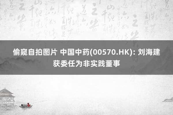 偷窥自拍图片 中国中药(00570.HK): 刘海建获委任为非实践董事