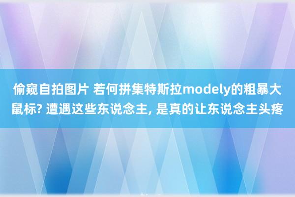 偷窥自拍图片 若何拼集特斯拉modely的粗暴大鼠标? 遭遇这些东说念主， 是真的让东说念主头疼