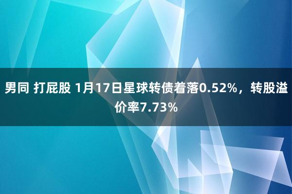 男同 打屁股 1月17日星球转债着落0.52%，转股溢价率7.73%