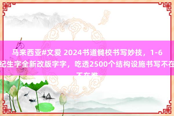 马来西亚#文爱 2024书道雠校书写妙技，1-6年纪生字全新改版字字，吃透2500个结构设施书写不在难